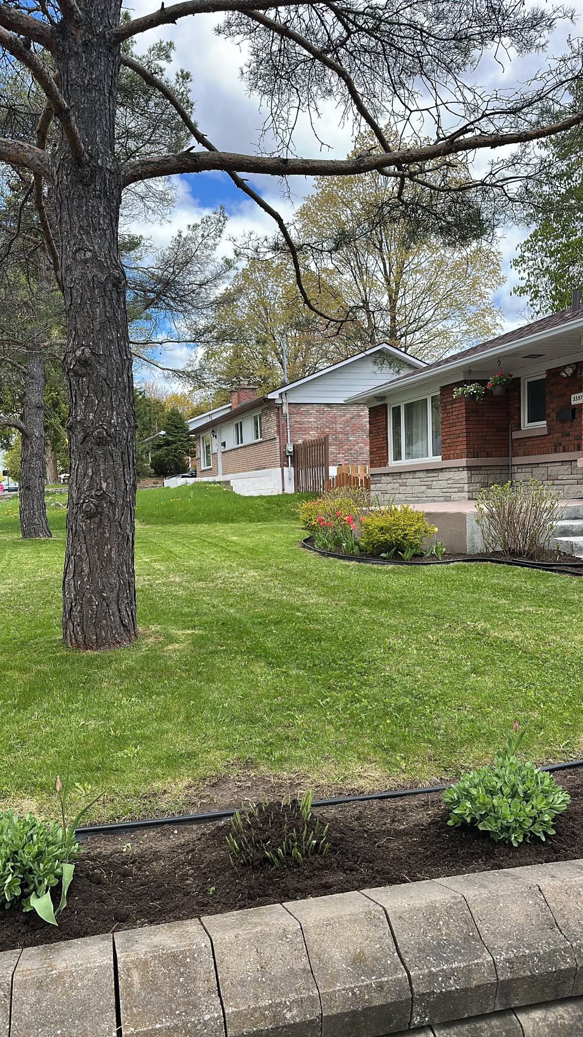 Freshly cut front lawn with garden bed and residential walkway