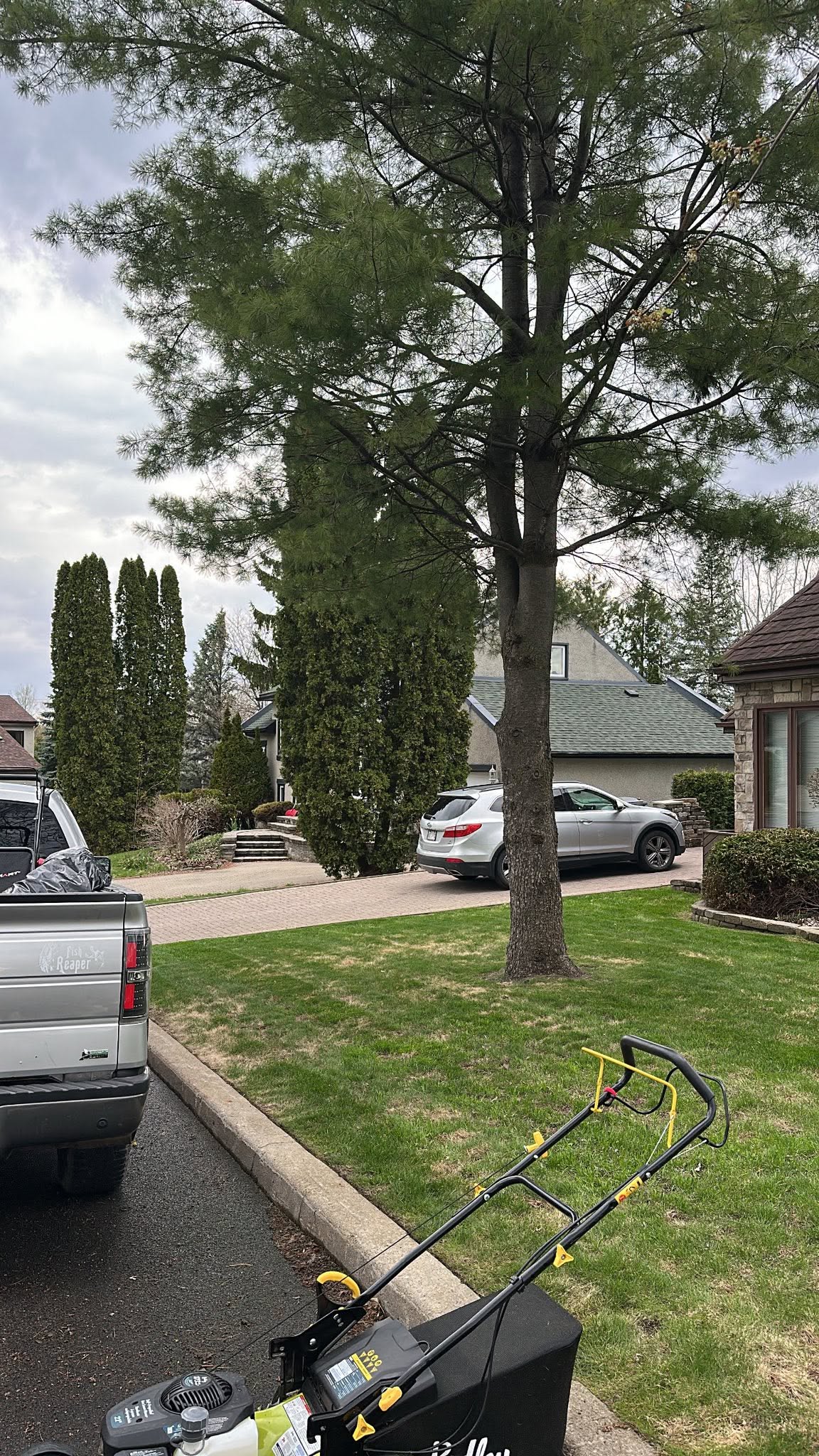 Residential property with hedges, lawn, and mowing equipment