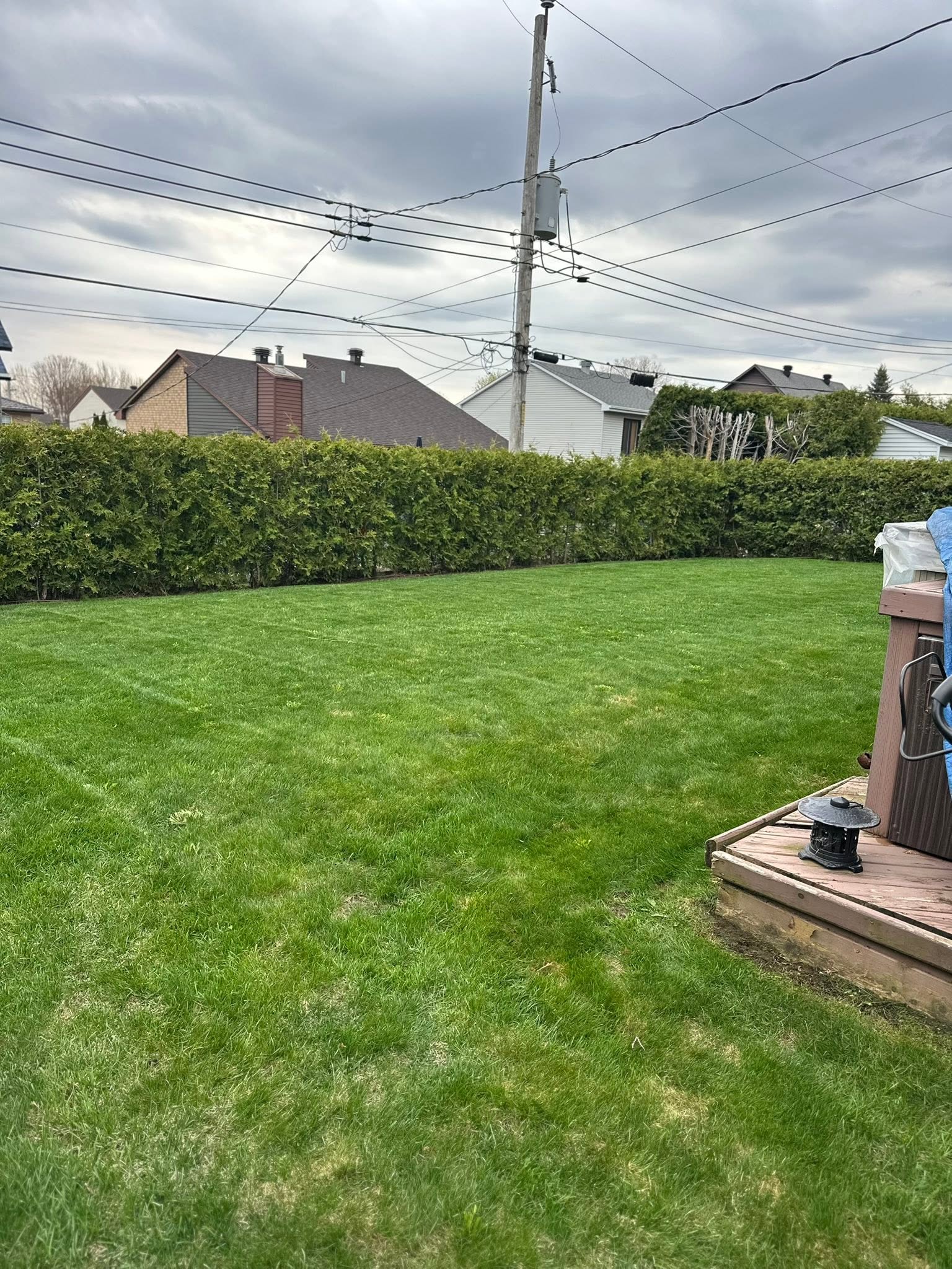 Clean residential lawn after mowing service