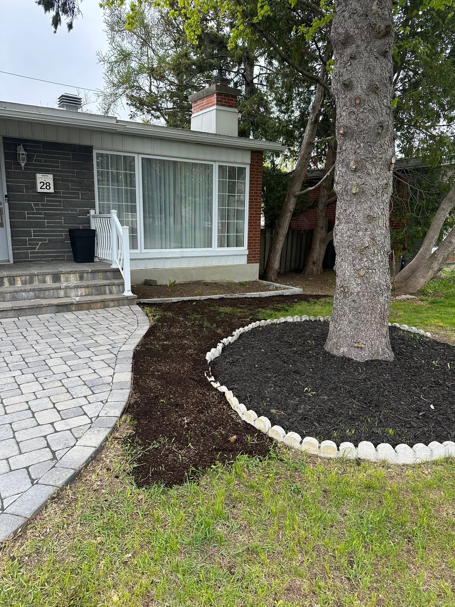 Fresh mulch around a front yard tree and garden bed